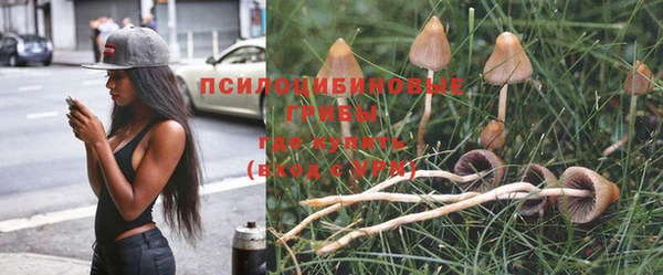 СК Кинешма