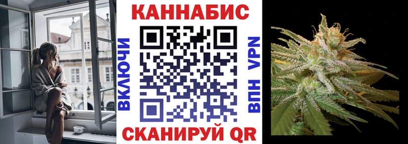 Купить где  Дагестанские Огни  Канабис OG Kush 